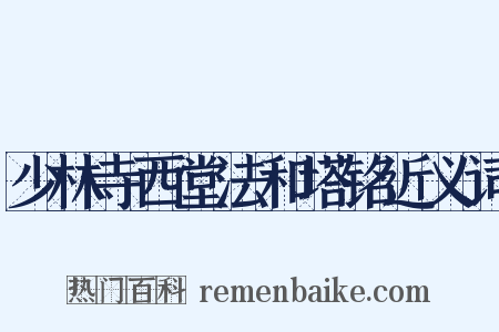 少林寺西堂法和塔铭近义词是什么意思的图片